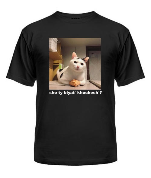 Чоловіча футболка Шо ти хочеш