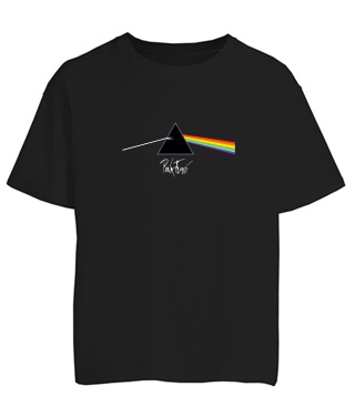 Футболка оверсайз Pink Floyd Dark Side