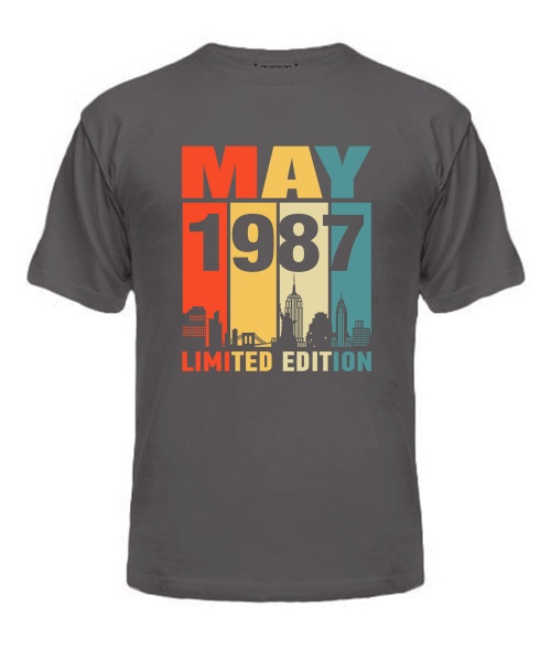 Чоловіча Футболка (сіра XL) LIMITED EDITION [MAY 1987]