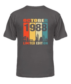 Чоловіча Футболка (сіра L) LIMITED EDITION [OCTOBER 1988]