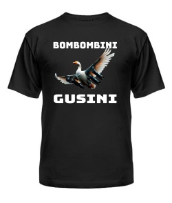 Мужская Футболка БОМБОМБИНИ ГУЗИНИ