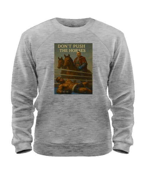 Свитшот Don`t push the horses №2