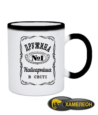 Чашка хамелеон Дружина №1