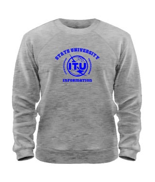 Світшот ДУІКТ