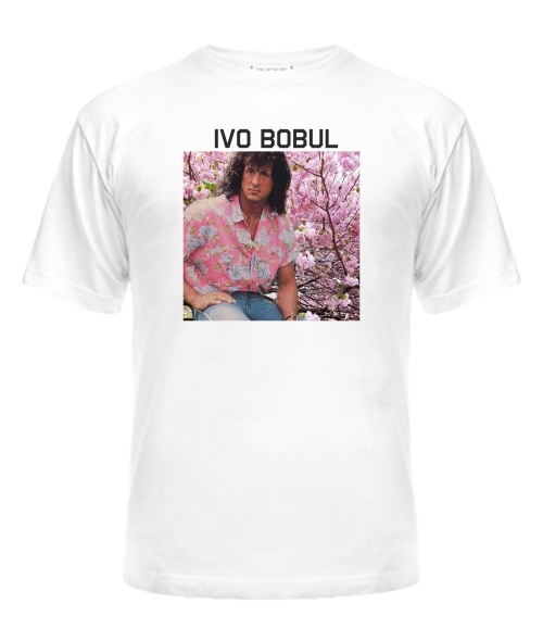 Футболка універсального крою для жінок IVO BOBUL