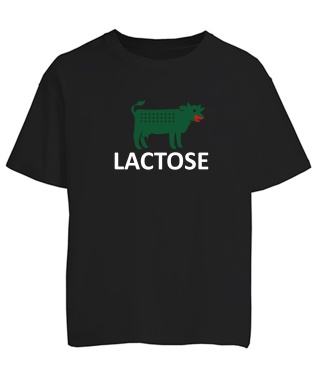 Футболка оверсайз LACTOSE (лактозе)