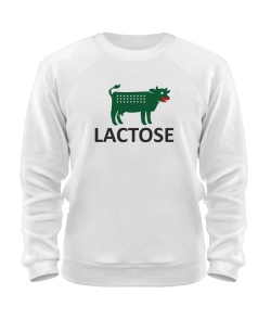 Світшот LACTOSE (лактозе)