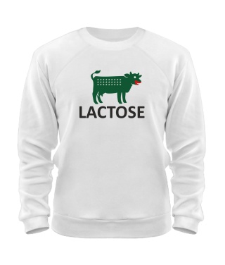 Світшот LACTOSE (лактозе)