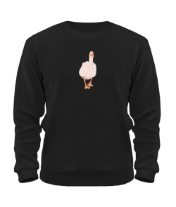 Світшот What the DUCK