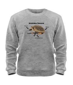 Світшот Будова Їжака