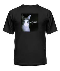 Чоловіча футболка Кіт (мем) №2