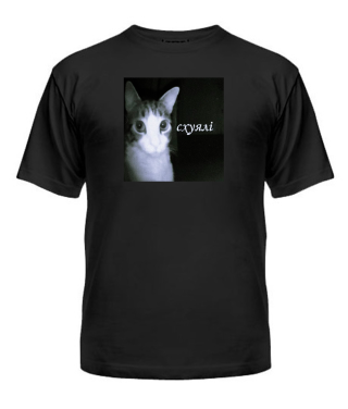 Чоловіча футболка Кіт (мем) №2