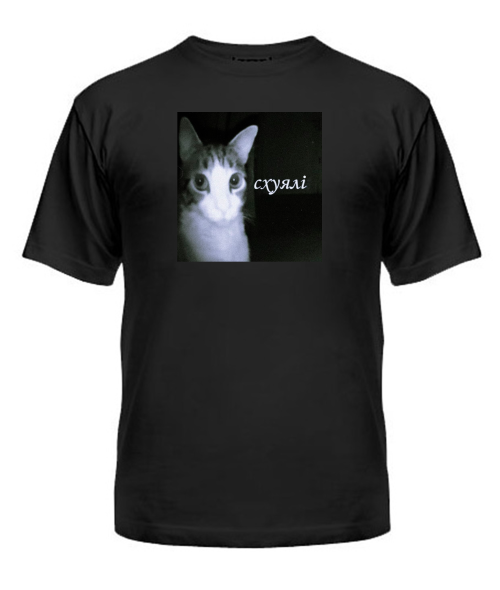 Чоловіча футболка Кіт (мем) №2
