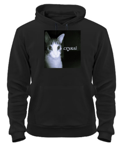 Толстовка-худі Кіт (мем) №2