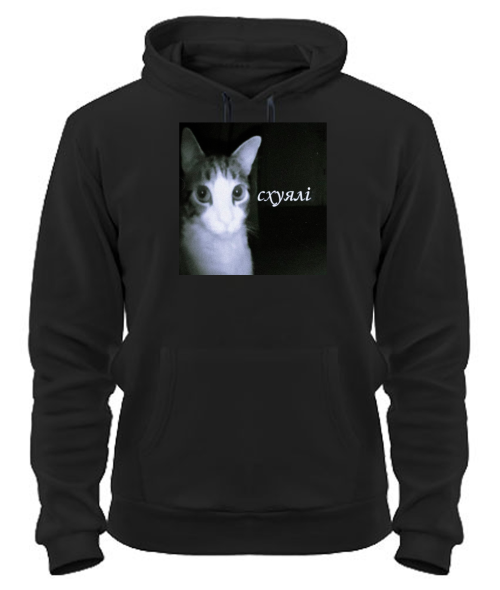 Толстовка-худі Кіт (мем) №2
