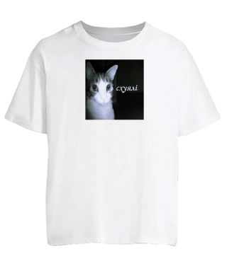 Футболка оверсайз Кіт (мем) №2