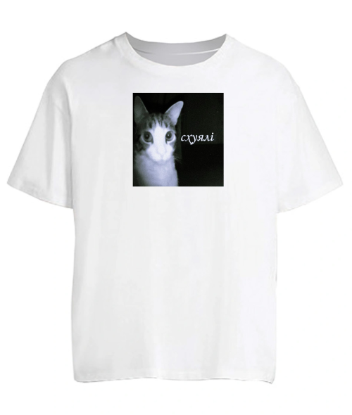 Футболка оверсайз Кіт (мем) №2