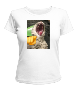 Жіноча футболка Кіт (мем)