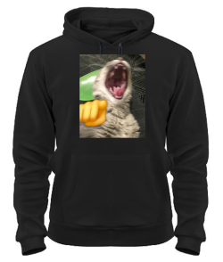 Толстовка-худи Кот (мем)