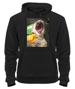 Толстовка-худі Кіт (мем)