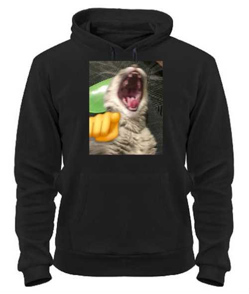 Толстовка-худи Кот (мем)