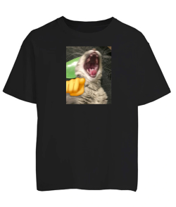 Футболка оверсайз Кіт (мем)