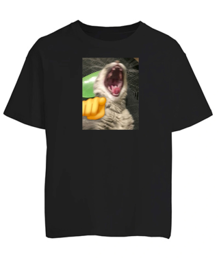 Футболка оверсайз Кіт (мем)