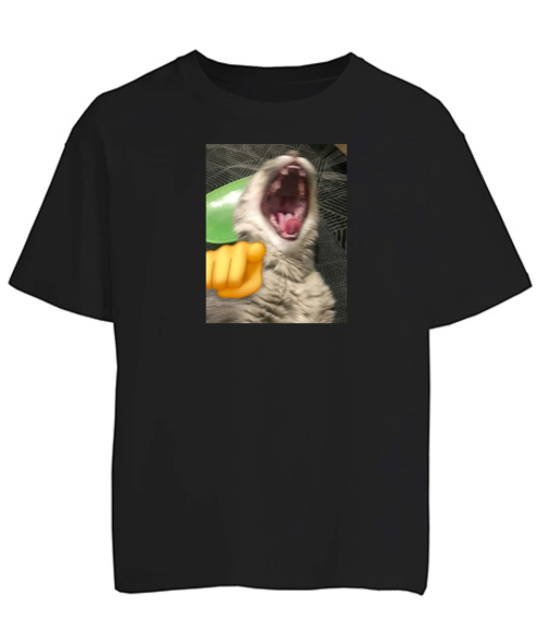 Футболка оверсайз Кіт (мем)