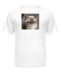 Чоловіча футболка Кіт (мем) №3