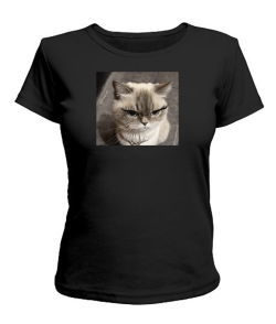 Жіноча футболка Кіт (мем) №3
