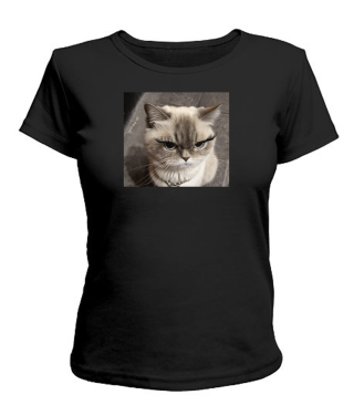 Жіноча футболка Кіт (мем) №3