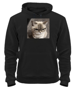 Толстовка-худі Кіт (мем) №3