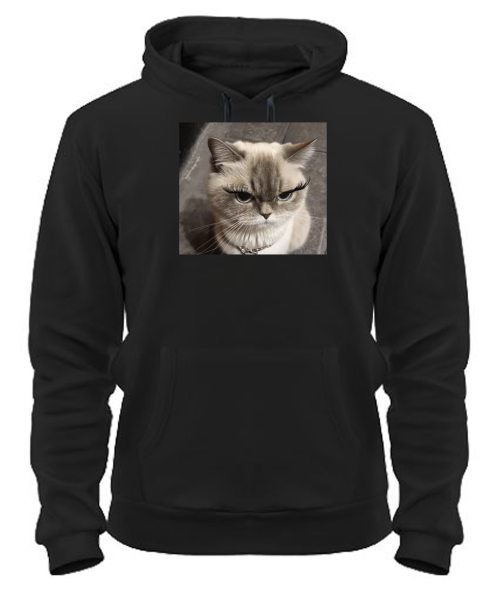 Толстовка-худі Кіт (мем) №3