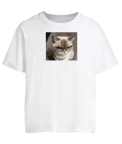 Футболка оверсайз Кіт (мем) №3