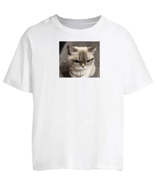 Футболка оверсайз Кіт (мем) №3