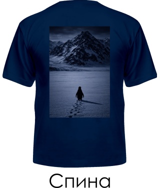 Чоловіча футболка Penguin (Спина)