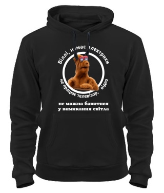 Толстовка-худі Проєкт «Альф»