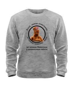 Світшот (Сірий меланж XXL) Проєкт «Альф»