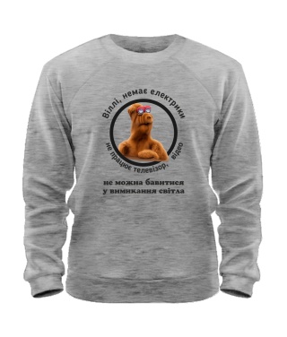 Світшот (Сірий меланж XXL) Проєкт «Альф»