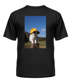 Чоловіча футболка Кіт (мем) №4