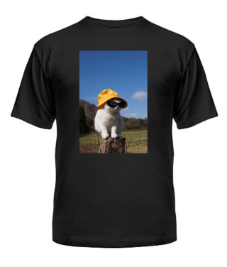 Чоловіча футболка Кіт (мем) №4