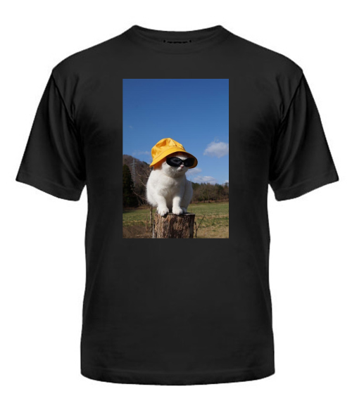 Чоловіча футболка Кіт (мем) №4