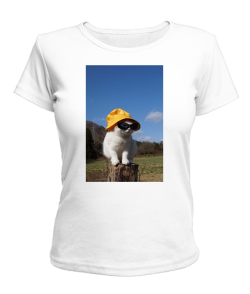 Жіноча футболка Кіт (мем) №4