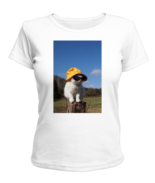 Жіноча футболка Кіт (мем) №4