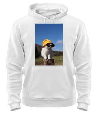 Толстовка-худі Кіт (мем) №4