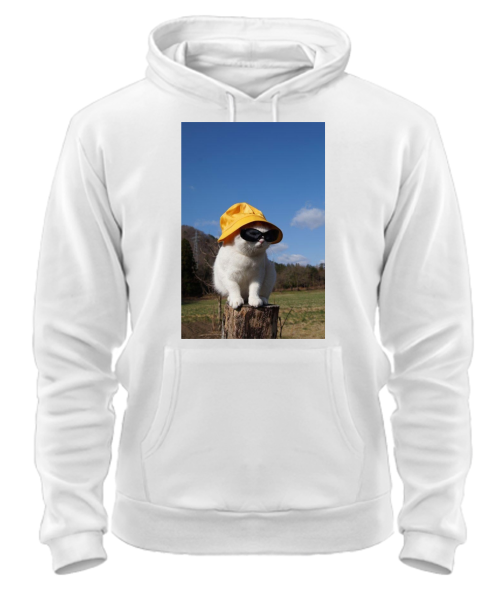 Толстовка-худі Кіт (мем) №4