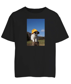 Футболка оверсайз Кіт (мем) №4