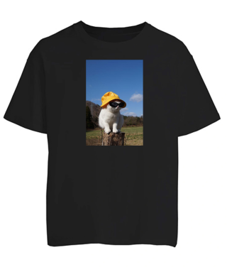 Футболка оверсайз Кіт (мем) №4