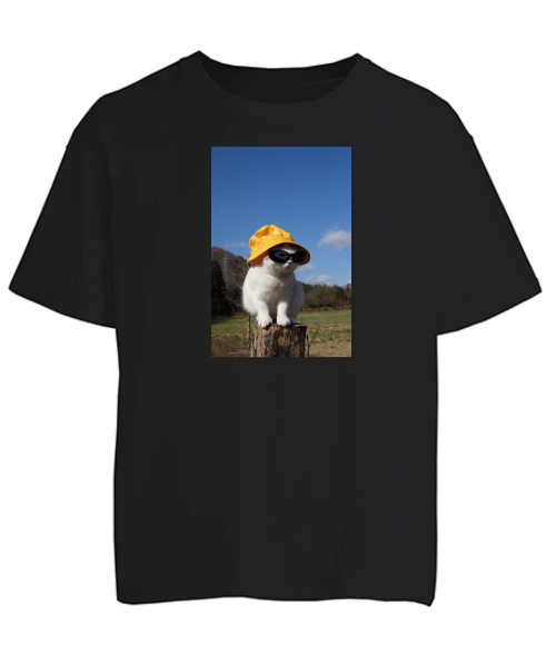 Футболка оверсайз Кіт (мем) №4