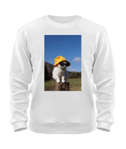 Світшот Кіт (мем) №4